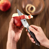 Ronin Japanese 3.75" Paring Knife