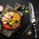 Pro Series Damascus Knife Set | SHAN ZU Knives