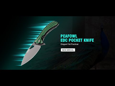 Green Peafowl Liner Locking Knife ZDF905 7.80 Blade & G10 Handle | SHAN ZU Pocket Folding Knives